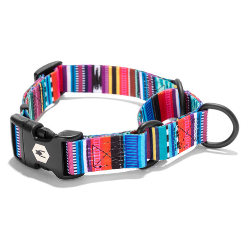 Wolfgang Martingale Quetzal Dog Collar 14"-18" Medium - Poudre Pet and Feed Supply